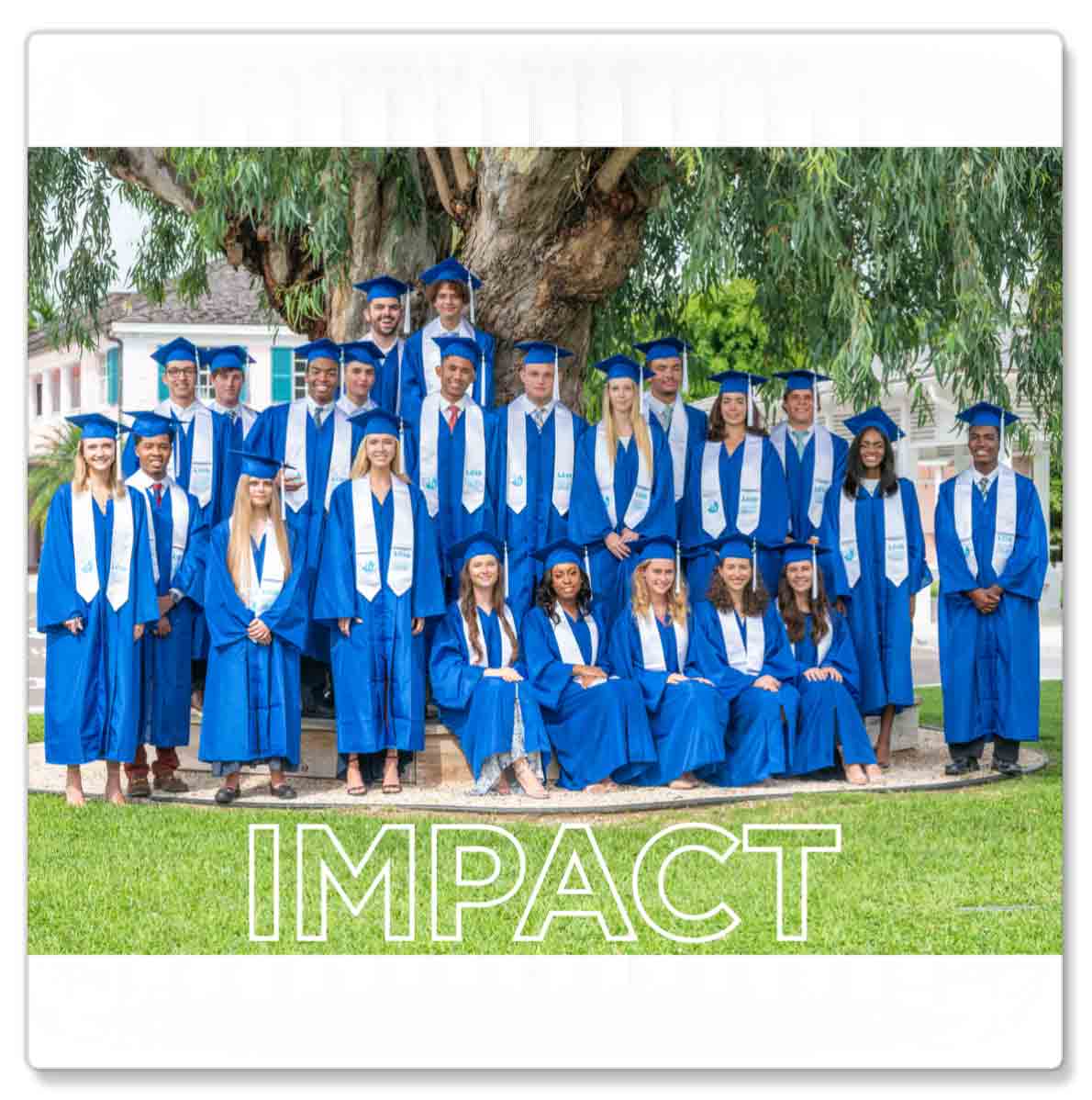 Impact Annual Report 2020 Cover